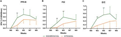 Comparison of the pathological outcome and disease progression of two Mycobacterium caprae experimental challenge models in goats: endobronchial inoculation vs. intranasal nebulization